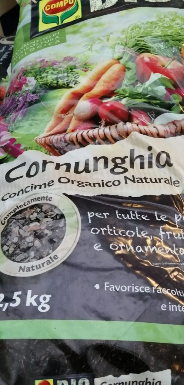 Cornunghia Compo