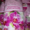Orchisol 1L, pianta da terrario