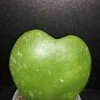 Hoya kerrii Splash, pianta da interno