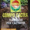 Compo Cactea Terriccio per Cactacee