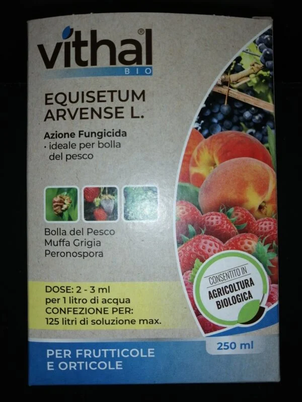 Vithal  bio Equisetum arvense