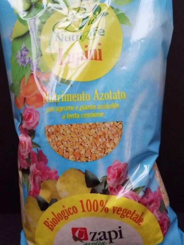 Zapi Lupini