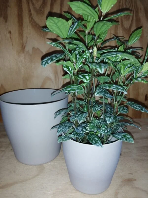 Vaso tondo Living Matt cm 21, foto 2
