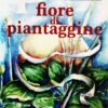Fiore di piantaggine