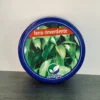 Concime Ferro Rinverdente Venagro